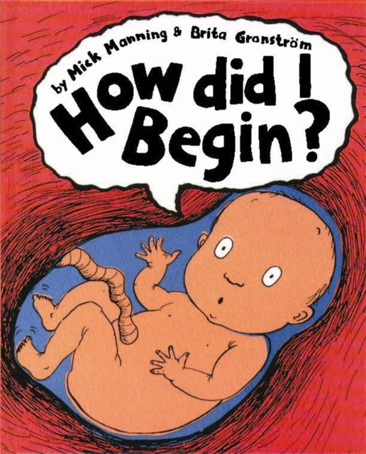 How Did I Begin?-9780749656614