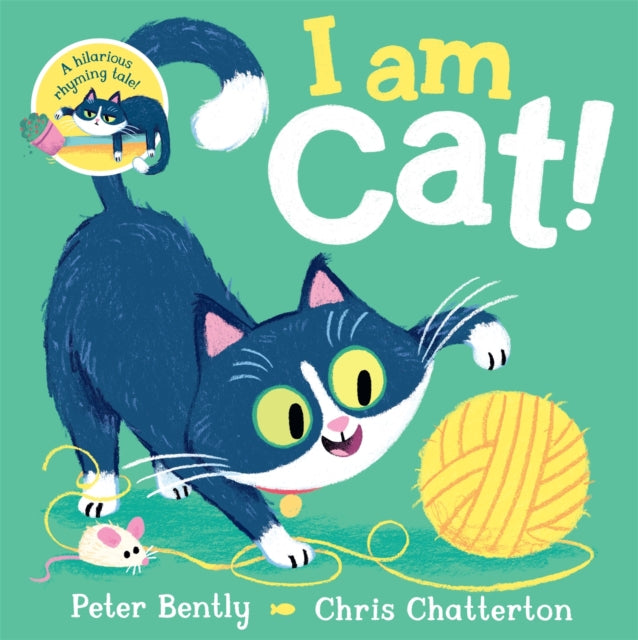 I am Cat-9781529013276