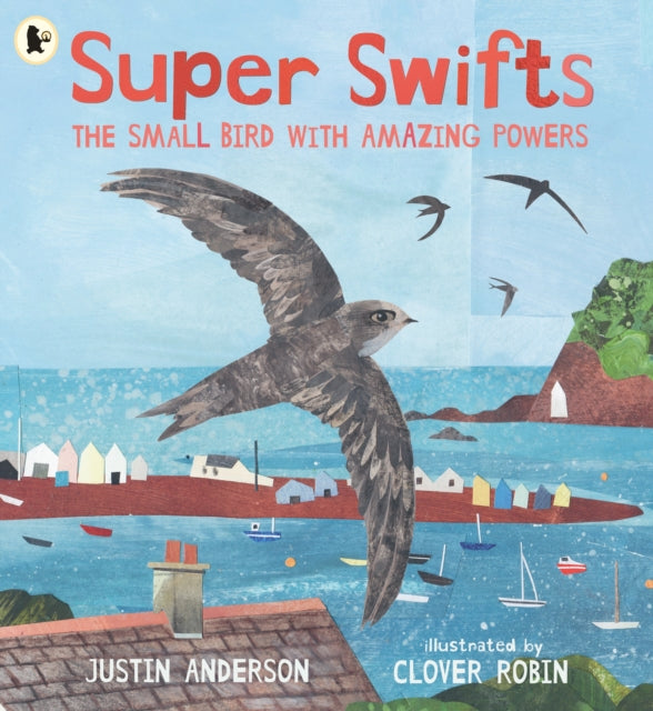 Super Swifts: The Small Bird With Amazing Powers-9781529523690