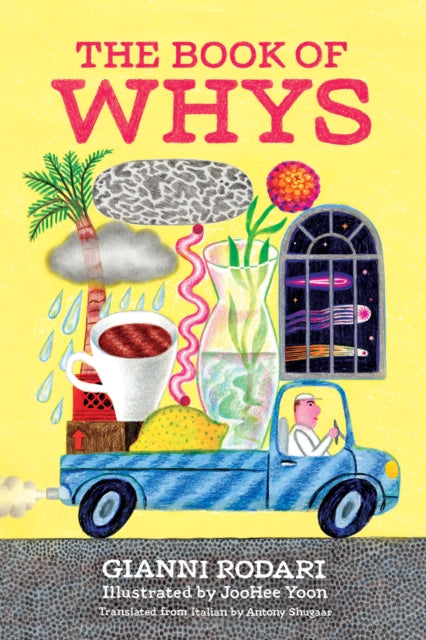 The Book of Whys-9781592703647