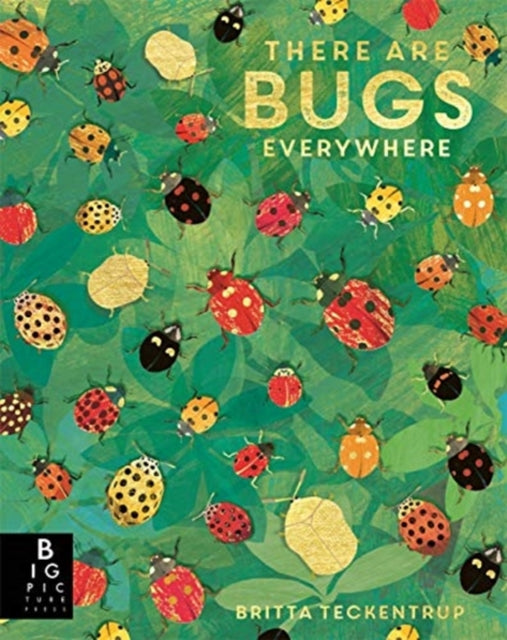 There are Bugs Everywhere-9781787418219