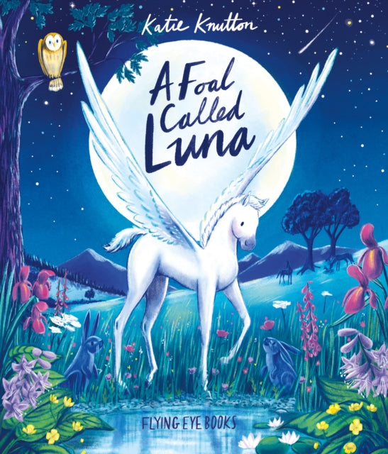 A Foal Called Luna-9781838743994