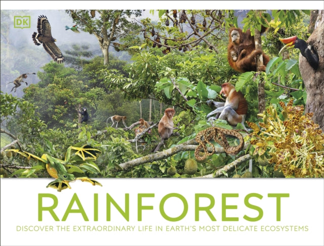 Rainforest-9780241716427