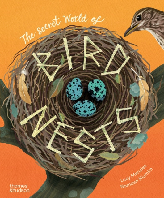 The Secret World of Bird Nests-9780500653944