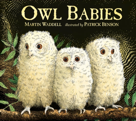Owl Babies-9781406374377
