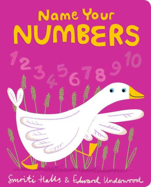 Name Your Numbers-9781406387827