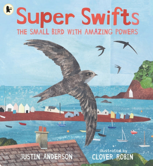 Super Swifts: The Small Bird With Amazing Powers-9781529523690