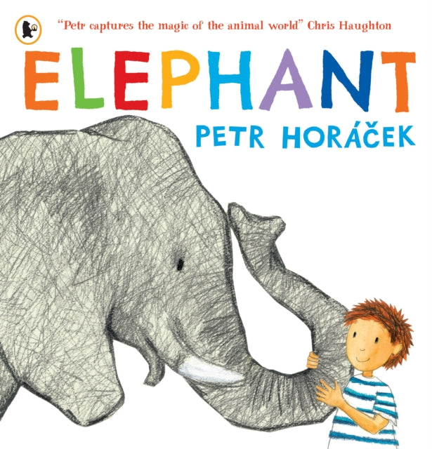 Elephant-9781529538854