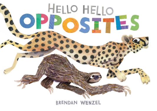 Hello Hello Opposites-9781797219981