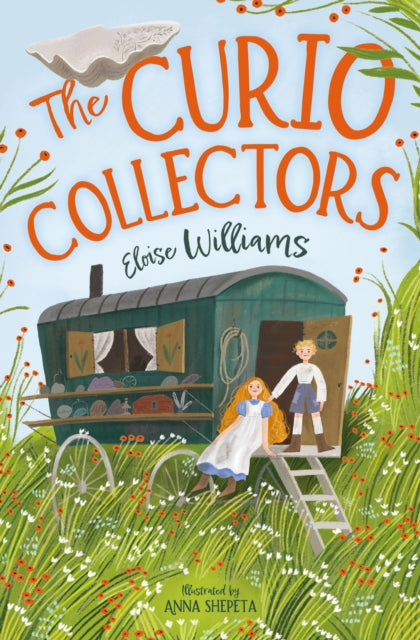 The Curio Collectors-9781800902008