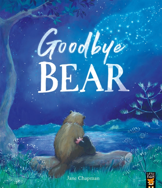 Goodbye Bear-9781801041737