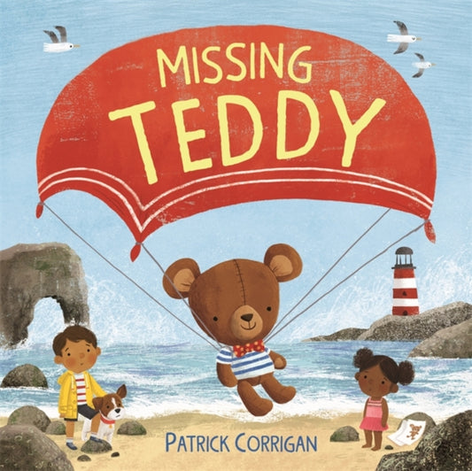 Missing Teddy-9781835871911