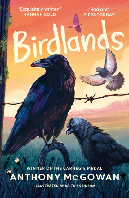 Birdlands-9781836431800