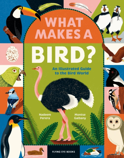 What Makes a Bird? : An Illustrated Guide to the Bird World-9781838742065