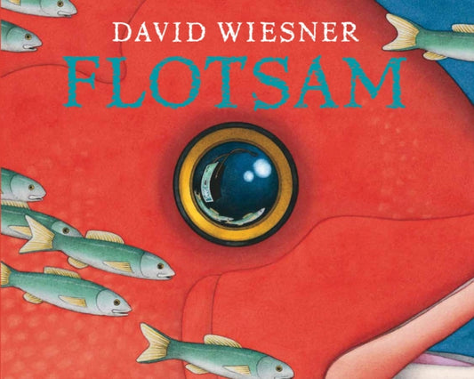 Flotsam : A Caldecott Award Winner-9781849394499