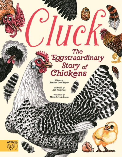 Cluck! : The Eggstraordinary Story of Chickens-9781917366588